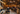 Cellar Door Catering & Hospitality Assistant