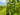 Spring in the Vineyards is Here