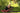 Yoga in the Vines