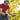 Temporary Harvest Workers wanted immediately